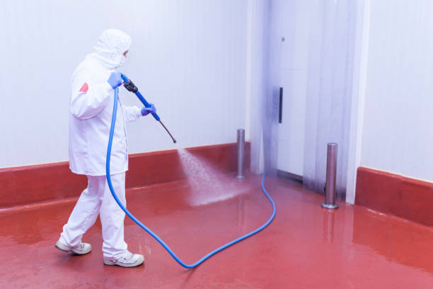 Best Soft Washing for Delicate Surfaces in Tn Lakes, WI